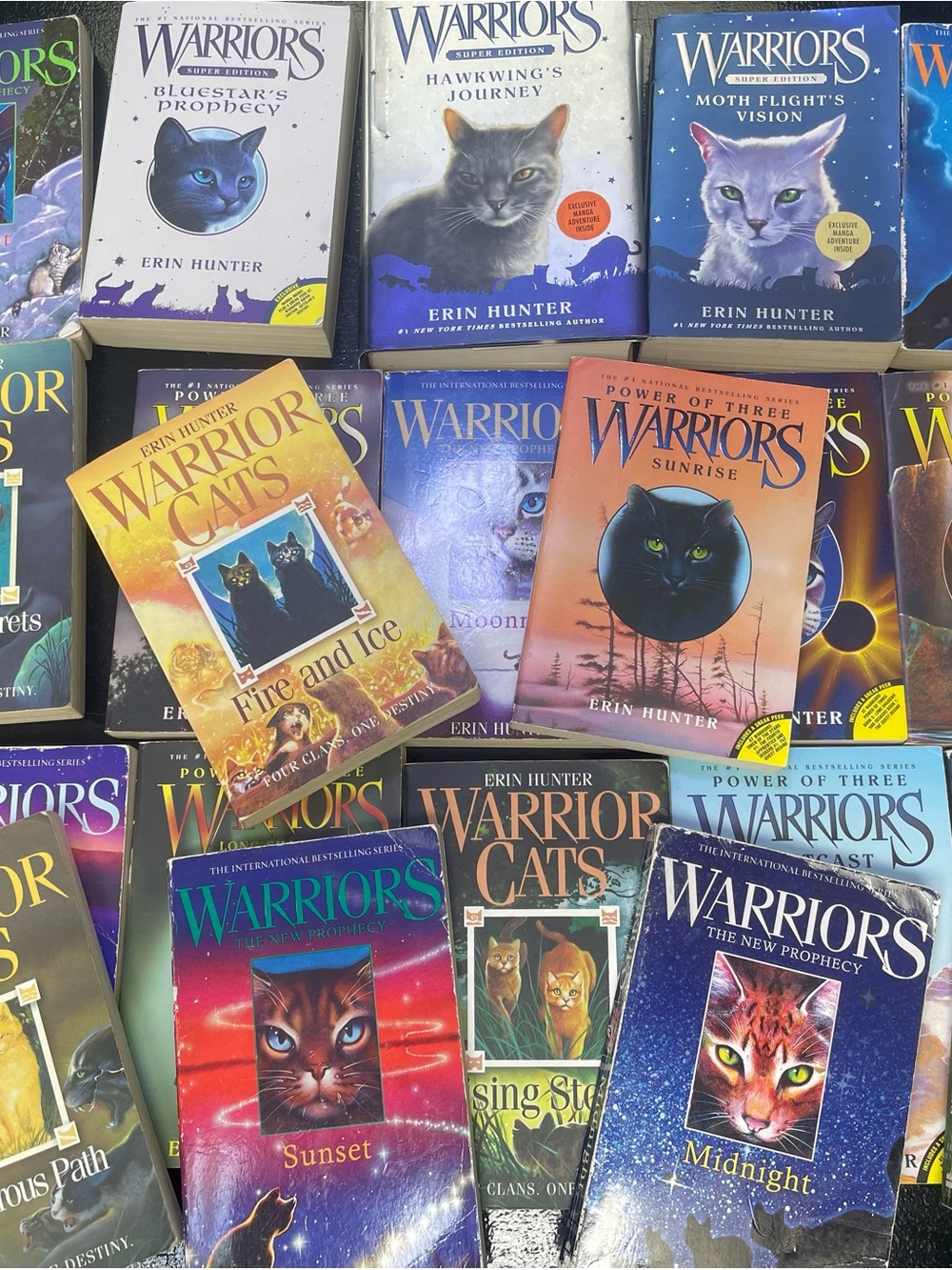 Warrior cats 21 book lot